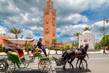 Lets enjoy morocco tour, Day Trips, Day Trip From Marrakech, Airport Marrakech
