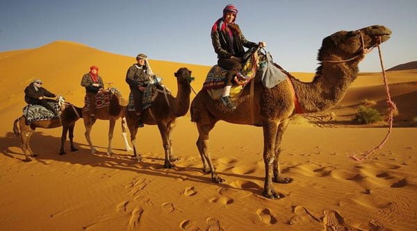 Day 13: Merzouga – Erfoud – Jorf – Todra Gorges – Dades