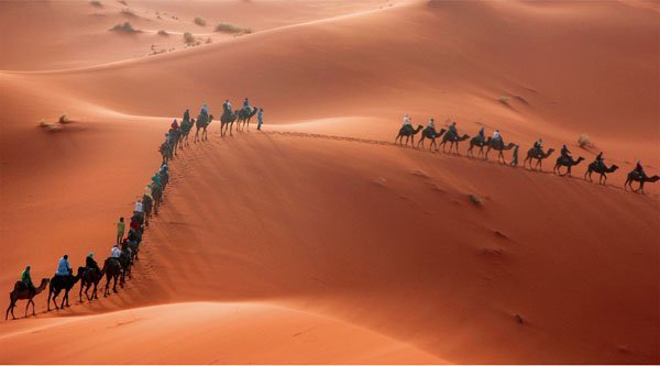 Day 12: Merzouga – Berber Families – Black Desert – Merzouga (Camel Ride & Night in Sahara)