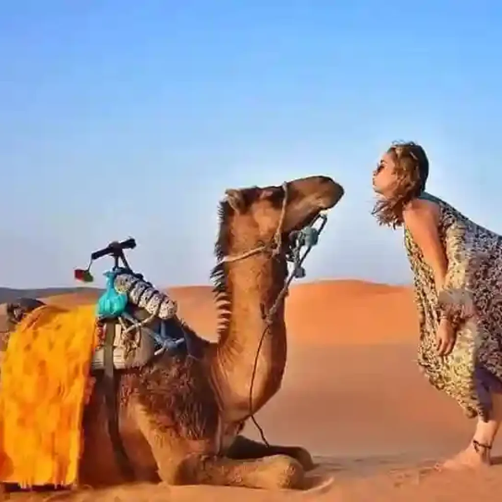 About Us 2 The eminent figure in Morocco's tourism industry for 2024, portrayed against a backdrop of iconic Moroccan architecture, symbolizing excellence in travel leadership and cultural exploration