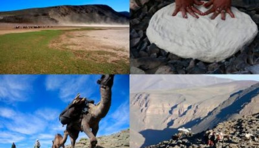Top 10 trekking montagne maroc 5 Lets enjoy morocco tour, Day Trips, Day Trip From Marrakech, Airport Marrakech