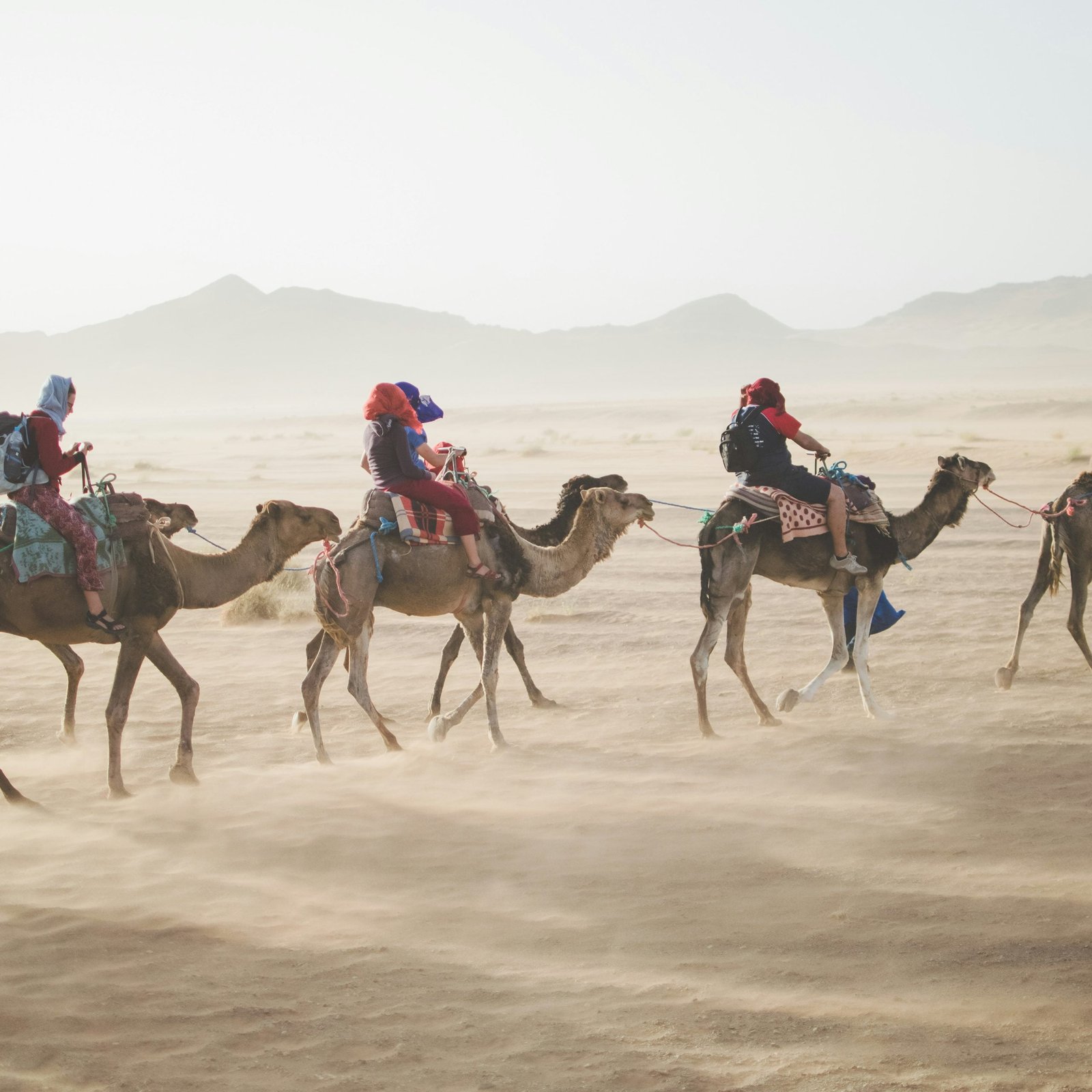 Let's Enjoy Morocco Tours: Best Time to Visit and Must-See Places 1 group of people riding camel on sand dune in morocco tours
