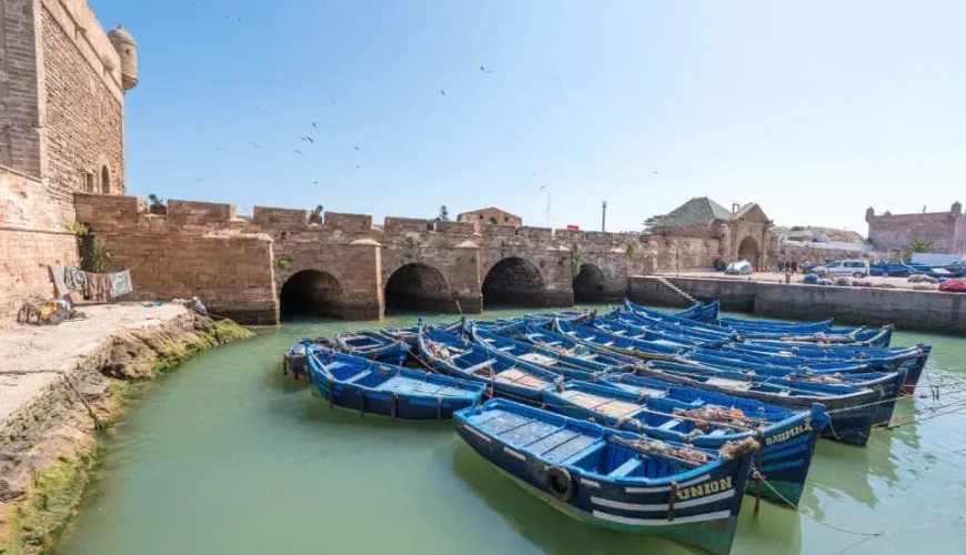 Exclusive essaouira to marrakech taxi : Exploring Morocco's Beauty 11 essaouira to marrakech taxi